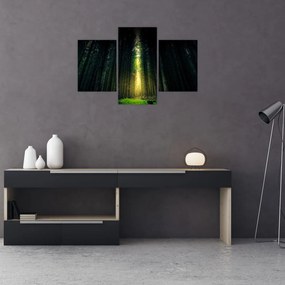 Tablou cu pădurea întunecată (90x60 cm)
