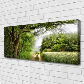Tablou pe panza canvas Copaci Potecă Natura Brun Verde