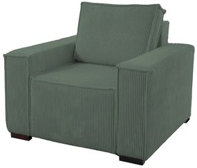 Fotoliu din catifea Culoare verde inchis, SMART