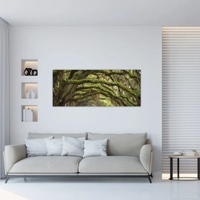Tablou - Oaks Avenue, Charleston, Carolina de Sud, SUA (120x50 cm)