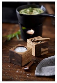 Set solniță și piperniță – Holm