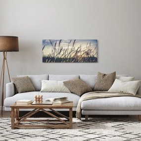 Tablou cu flori de câmp (120x50 cm)