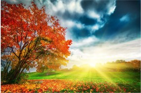 Tablou peisaj cu scufundat în razele solare (90x60 cm)