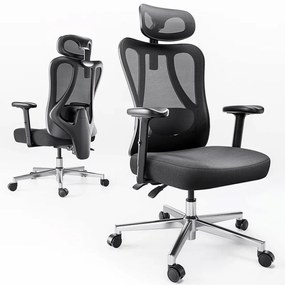 HBADA P3 Scaun ergonomic, cu suport lombar reglabil, tetieră reglabilă 2D, cotiere reglabile 2D, pivotant, Negru