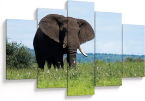Tablou cu elefant (150x105 cm)