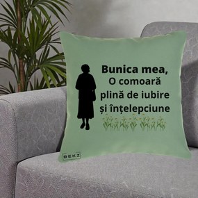 Cadou pentru Bunica - Perna Personalizata Bunica Mea Comoara Iubire Intelepciune Silueta cu Nepoata, 40x40 cm, Verde, Husa Detasabila, Perna Inclusa, BEKZ®