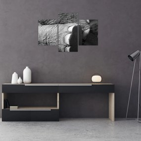 Tablou - Picior de elefant (90x60 cm)
