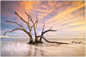Tablou - Copacul în ocean (90x60 cm)
