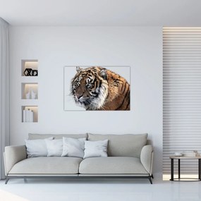 Tablou cu tigrul (90x60 cm)