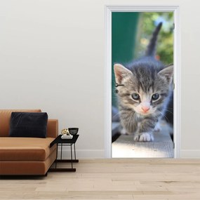 Fototapet pentru ușă - Pisoi (95x205cm)