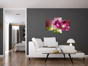 Tablou cu lalele roz (90x60 cm)
