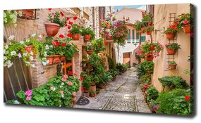 Tablouri tipărite pe pânză Străzile italiene