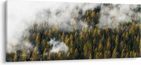 Tablou - Pădure în nori (120x50 cm)