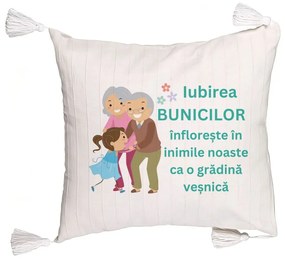 Perna Decorativa cu Franjuri pentru Bunici 6, 45x45 cm, Cu fermoar