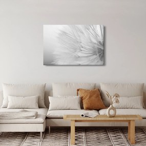 Tablou - Dandelion (90x60 cm)