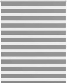 vidaXL Jaluzea Zebră 120,9x175 cm Lățime material 116,7 cm gri