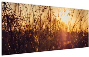 Tablou - Câmp la apus de soare (120x50 cm)