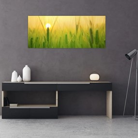 Tablou - Câmp cu cereale (120x50 cm)