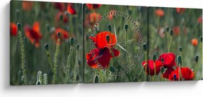 Tablou - Lunca cu maci (cu ceas) (90x30 cm)