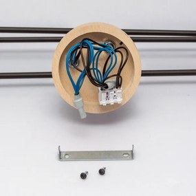 Lustră aplicată CAMBRIDGE 6xE27/15W/230V, pin