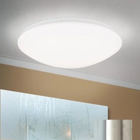 Plafoniera LED diametru 35cm, Nedo NU 9-387/35B opal OR