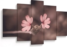 Tablou cu floare roz (150x105 cm)