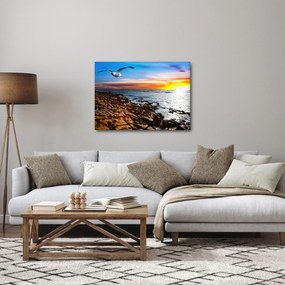 Tablou - Pescărușul zboară deasupra coastei (70x50 cm)