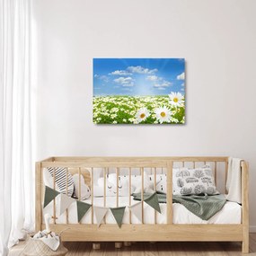Tablou pe sticlă cu luncă înflorită cu margarete (70x50 cm)