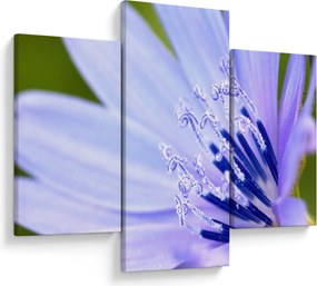 Tablou - Floare (90x60 cm)