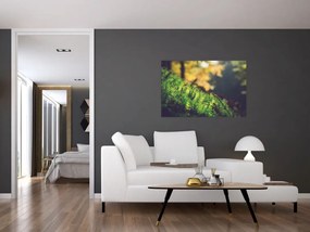 Tablou - Ciupercă și muschi (90x60 cm)