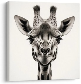 Tablou privirea girafei
