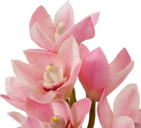 Buchet artificial LUX din 36 fire orhidee cymbidium, Orchids