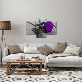Tablou - Trandafir violet cu tulpina verde (90x60 cm)