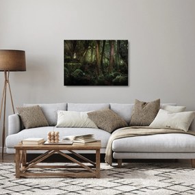 Tablou pe sticlă - Pădurea enigmatică (70x50 cm)