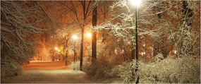 Tablou - Parcul înzăpezit (120x50 cm)