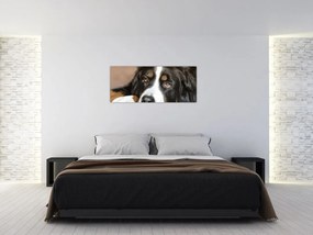 Tablou cu câine (120x50 cm)