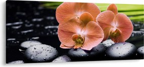 Tablou - Orhidee portocalie cu frunze de palmier (120x50 cm)