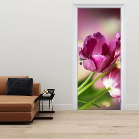 Fototapet pentru ușă - Lalele roz (95x205cm)