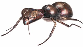 Decorațiune metalică pentru grădină, furnică, 33 x23 x 10 cm