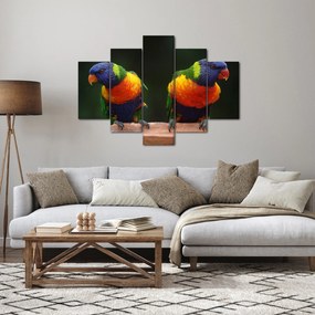 Tablou cu papagali (150x105 cm)