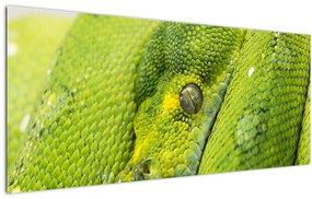 Tablou cu șarpe (120x50 cm)