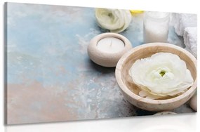 Tablou natură statică Spa