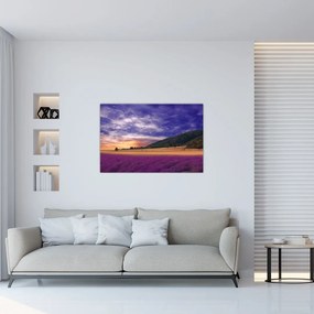 Tablou cu lunca cu lavandă (90x60 cm)