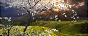 Tablou - Peisaj cu pomul înflorit (120x50 cm)