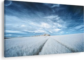 Tablou - Câmp (90x60 cm)