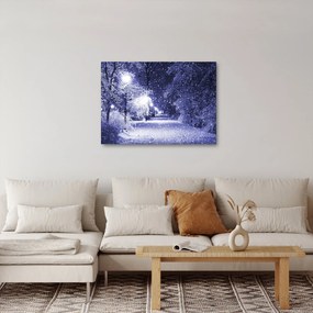 Tablou - Noaptea magică de iarnă (70x50 cm)