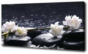 Imprimare tablou canvas Floare de cires