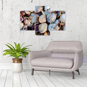 tablou cu scoici (90x60 cm)