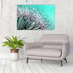 Tablou - planta cu rouă (90x60 cm)