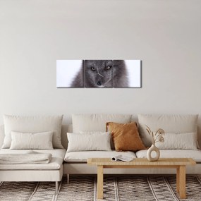 Tablou cu vulpe polară (cu ceas) (90x30 cm)
